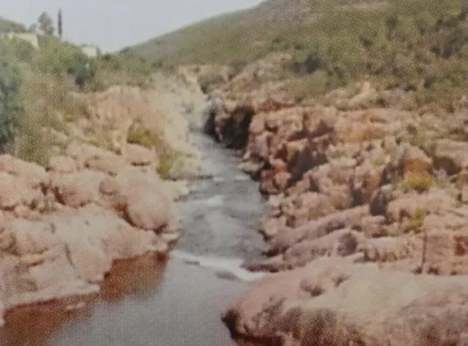 Hotel Ideal Stagnolo